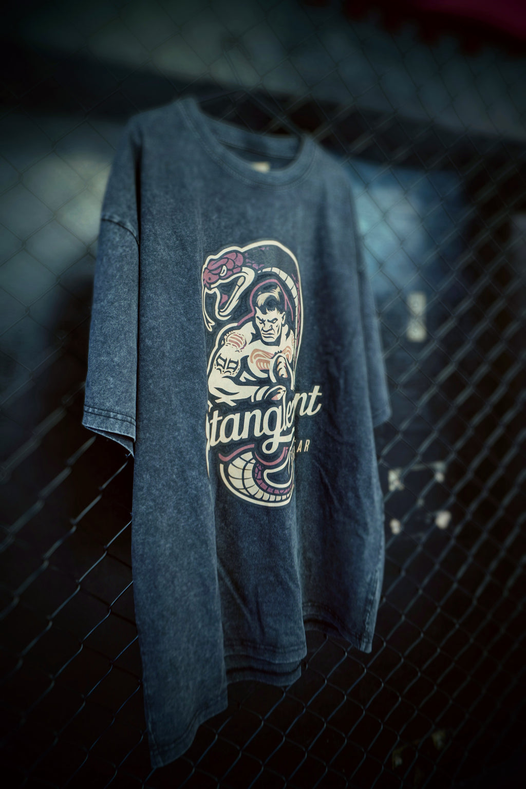 'PYTHON FIGHT' Heavyweight tee
