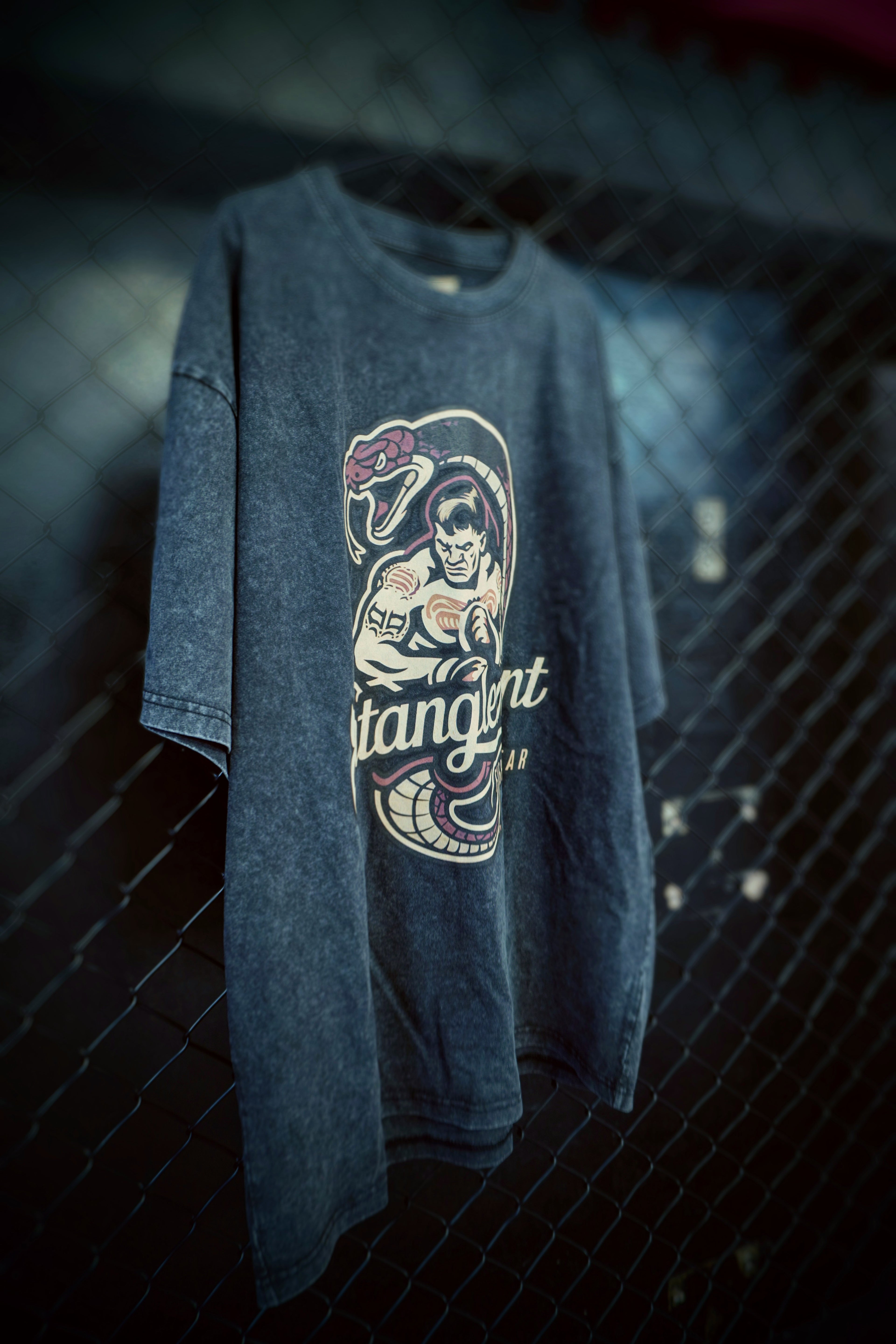 'PYTHON FIGHT' Heavyweight tee