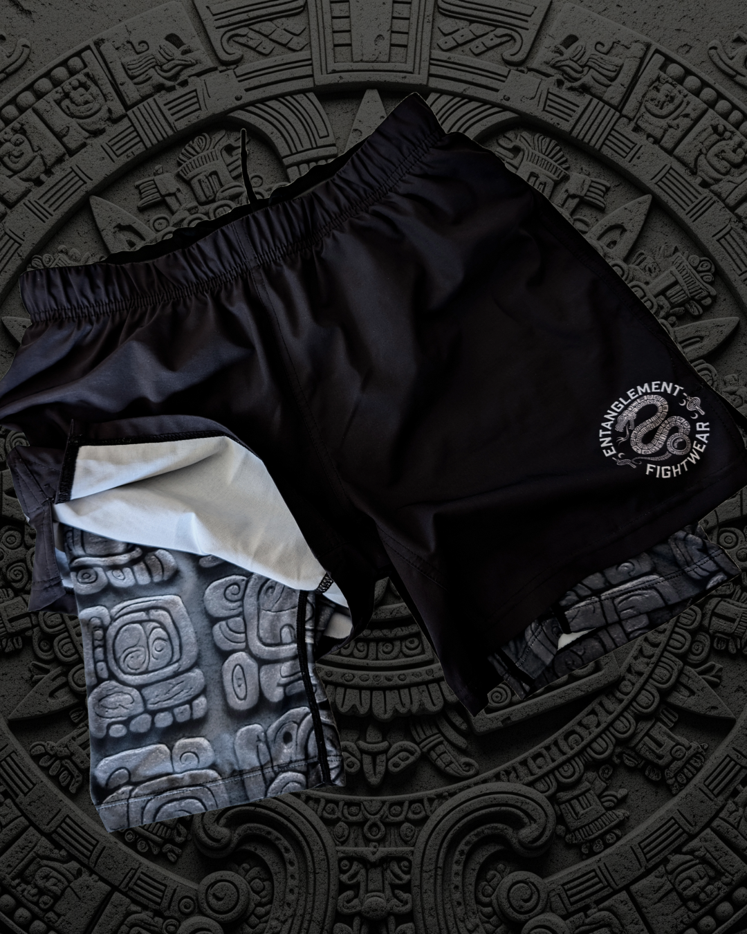 'VISION SERPENT' Fight Shorts